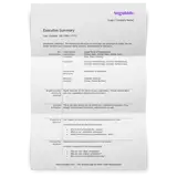 Executive-Summary-Template