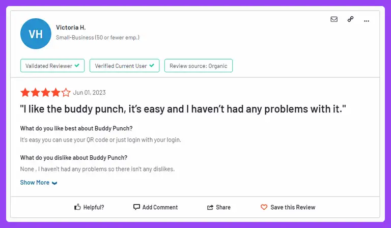Buddy Punch Review